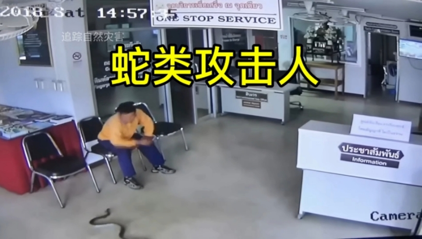 澳门神童免费资料网香港,我命由我不由天挑战,多元化方案执行策略_黄金版V15.31